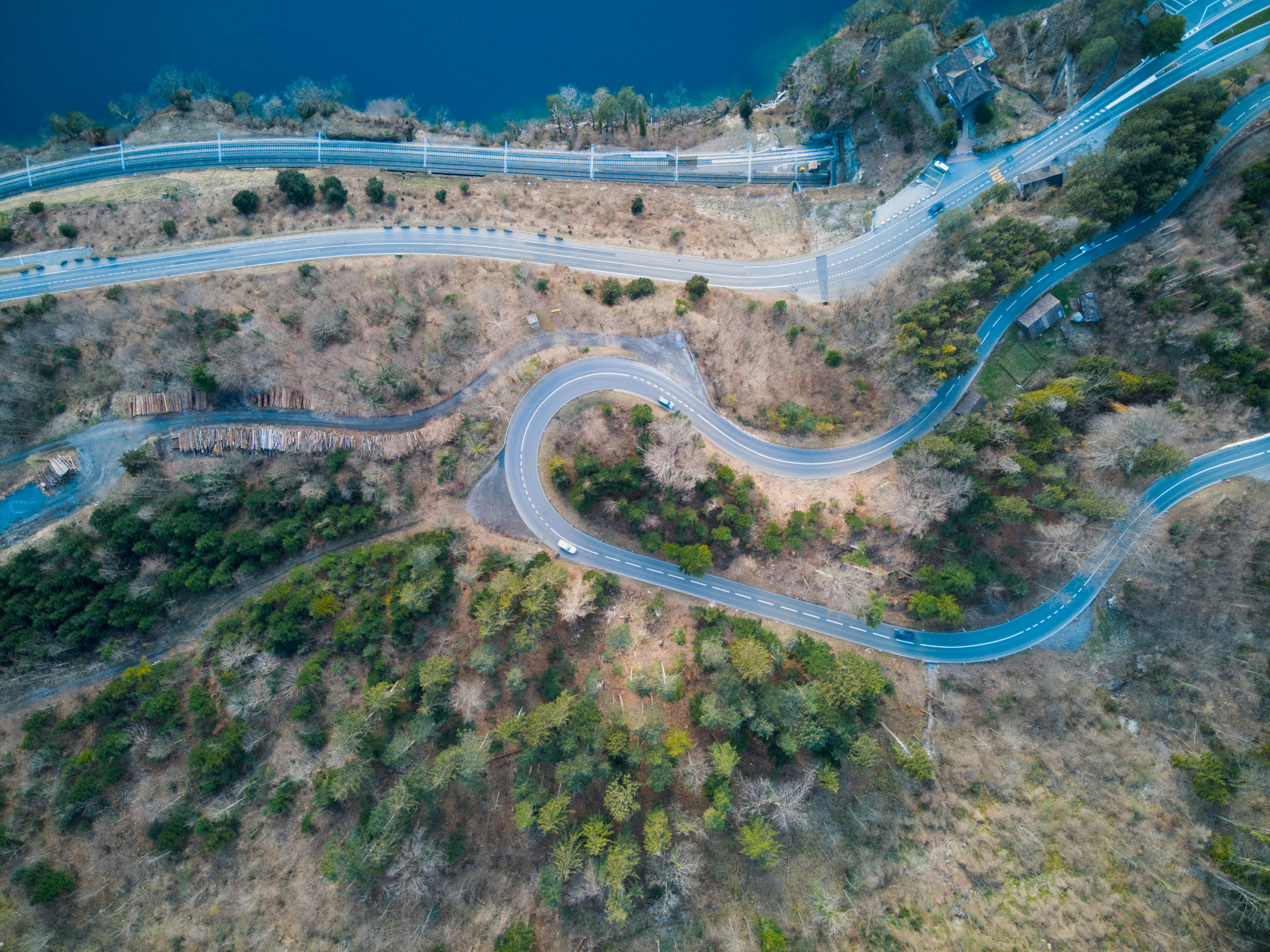 aerial view of road in the middle of green trees